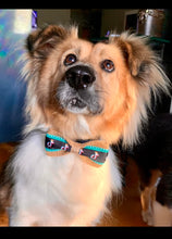 Load image into Gallery viewer, Dog Bow Ties   BTIE   (Click for more designs)