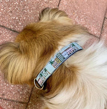 Load image into Gallery viewer, Dog Collar Rainbow Row