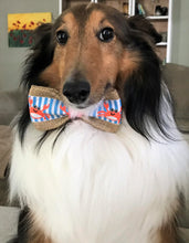 Load image into Gallery viewer, Dog Bow Ties   BTIE   (Click for more designs)
