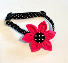 Load image into Gallery viewer, Super cute handmade collar with flower in 3 color choices
