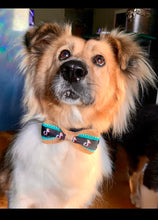 Load image into Gallery viewer, Dog Bow Ties   BTIE   (Click for more designs)

